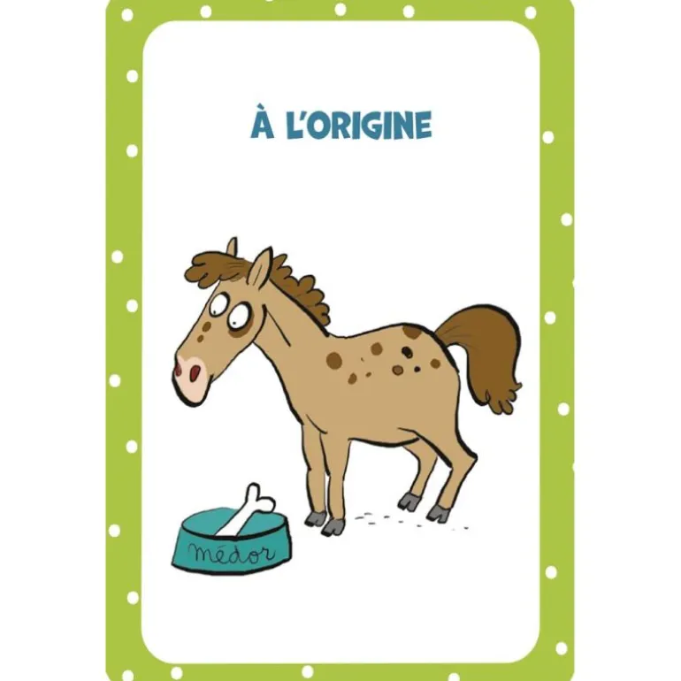 52 cartes pour tout savoir sur les chevaux - Edition 365