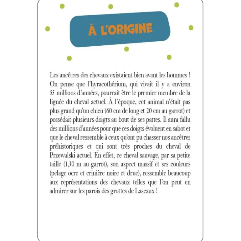 52 cartes pour tout savoir sur les chevaux - Edition 365