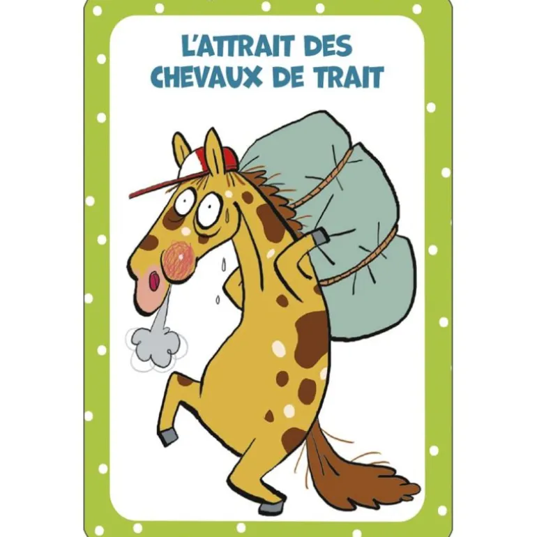 52 cartes pour tout savoir sur les chevaux - Edition 365