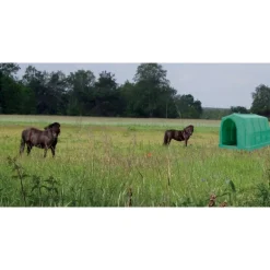 Abri résine grand modèle petit cheval - La Gée