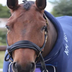 Adaptateur de licol Ezyloader - Aide à l'embarquement - Km Elite