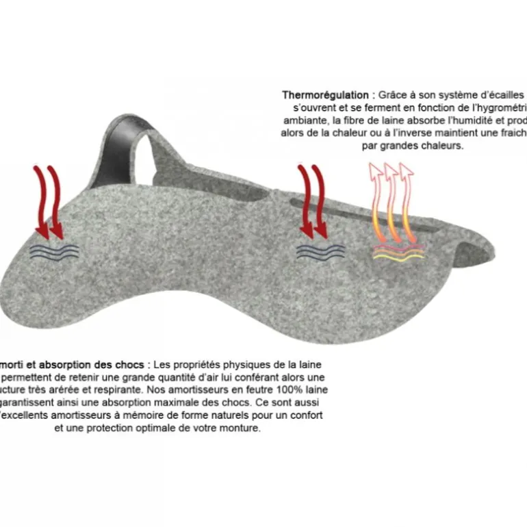 Amortisseur dos cheval à pont feutre de laine Pro - Ronzon Legend