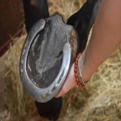 Argile naturelle cheval soin des Fourchettes - Nutragile