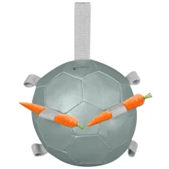 Balle à carottes enrichissement cheval - Waldhausen