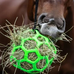 Balle de jeu à foin cheval - Waldhausen