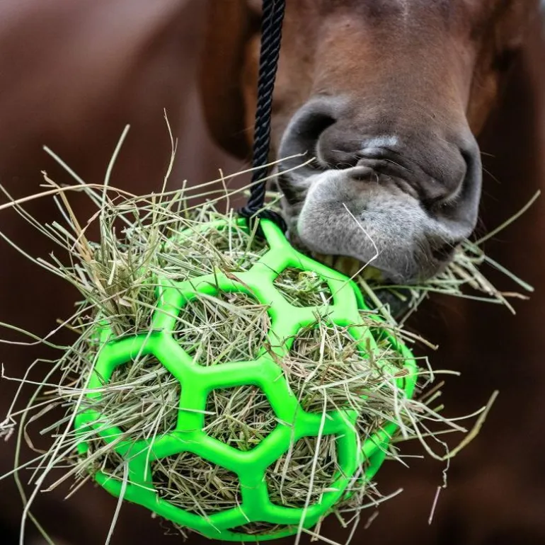 Balle de jeu à foin cheval - Waldhausen