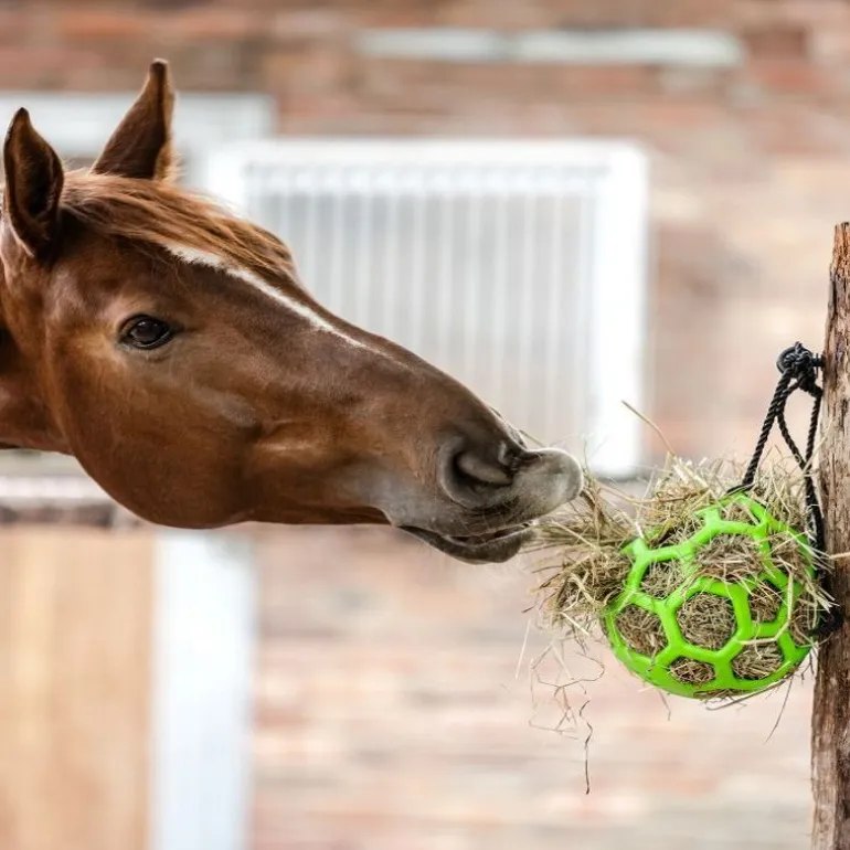 Balle de jeu à foin cheval - Waldhausen