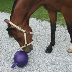Balle jouet pour chevaux Horsen Around