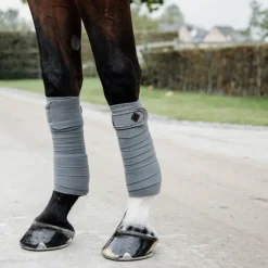 Bandes de polo cheval Pearls - Kentucky