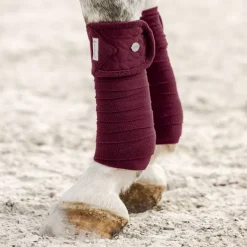 Bandes de polo cheval Rom - Waldhausen