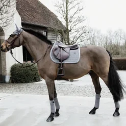 Bandes de polo cheval Velvet Basic x4 - Kentucky