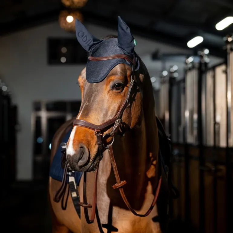Bonnet anti-mouche cheval Amigo Ear Net - Horseware