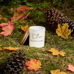 Bougie équitation Balade en forêt Classique - D'joy