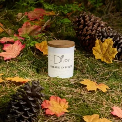 Bougie équitation Balade en forêt Classique - D'joy