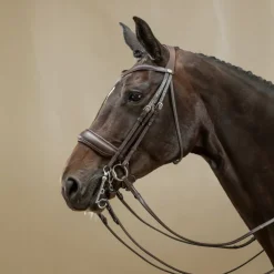 Bride cheval muserolle large Working Collection - Dy'on