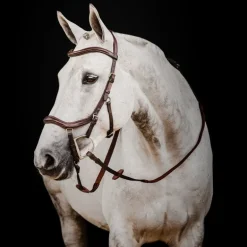 Bridon anatomique cheval Micklem Rambo Deluxe Competition avec rênes - Horseware