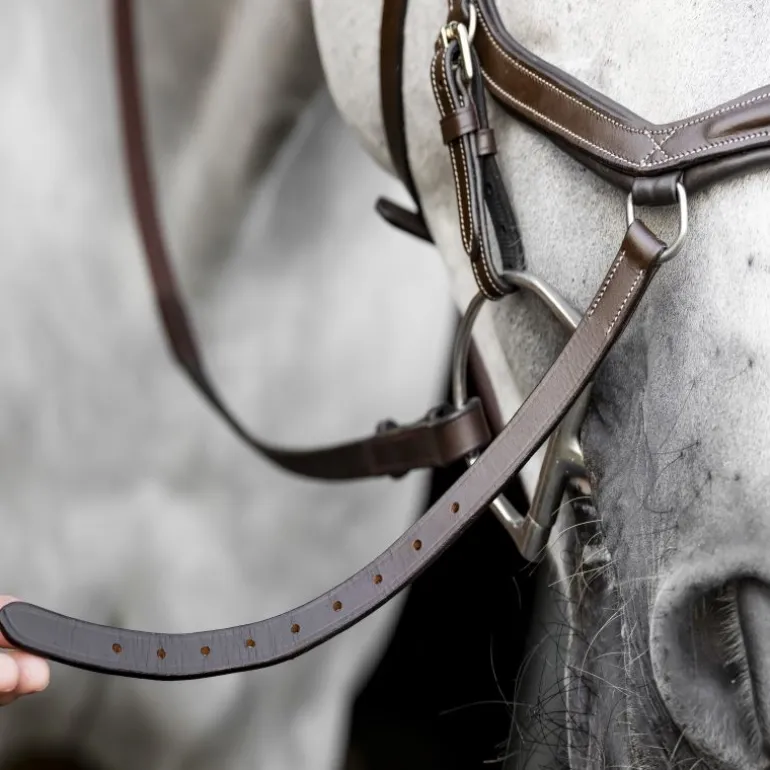 Bridon anatomique Micklem Rambo Competition Deluxe - Horseware