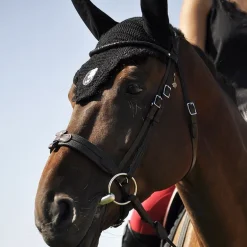 Bridon cheval cuir Evolution Soft T Contact - IHWT