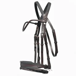 Bridon cheval cuir Evolution Contact - IHWT
