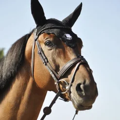 Bridon cheval cuir Evolution Contact - IHWT