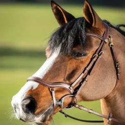 Bridon cheval cuir muserolle anatomique Techno - HFI
