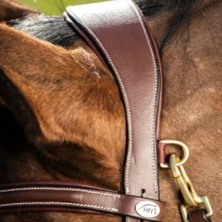 Bridon cheval cuir muserolle anatomique Techno - HFI