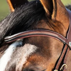 Bridon cheval cuir muserolle anatomique Techno - HFI