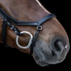 Bridon cheval cuir Relaxation X-line - Waldhausen