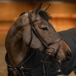 Bridon cheval cuir vernis Painted - HFI Master