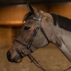 Bridon cheval cuir vernis Painted - HFI Master