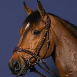 Bridon cheval en cuir 3 en 1 D Motion D Collection - Dy'on