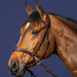Bridon cheval en cuir 3 en 1 D Motion D Collection - Dy'on