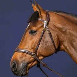 Bridon cheval en cuir 3 en 1 D Motion D Collection - Dy'on