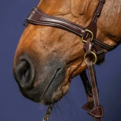 Bridon cheval en cuir 3 en 1 D Motion D Collection - Dy'on