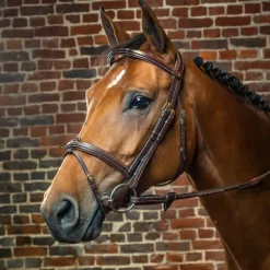 Bridon cheval muserolle combinée D Collection - Dy'on