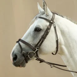 Bridon cheval plat avec mousquetons Working Collection - Dy'on
