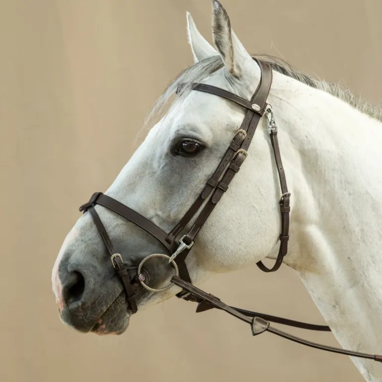 Bridon cheval plat avec mousquetons Working Collection - Dy'on