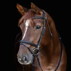 Bridon cheval Work X-Line - Waldhausen