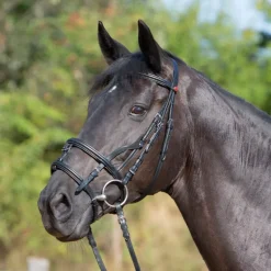 Bridon combiné cuir Ultrasoft - Kieffer