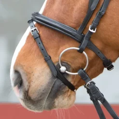 Bridon combiné cuir Ultrasoft - Kieffer