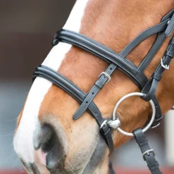 Bridon combiné cuir Ultrasoft - Kieffer