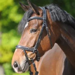 Bridon cuir cheval Ivy Plus muserolle et tétière anatomique - Kavalkade