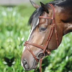 Bridon cuir cheval Lorenz muserolle combinée - Kavalkade