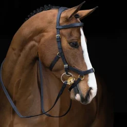 Bridon cuir cheval Rambo Micklem Multi - Horseware