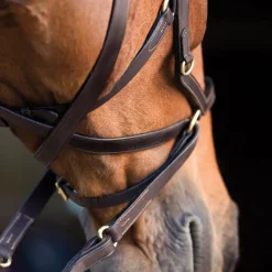 Bridon cuir cheval Rambo Micklem Multi - Horseware