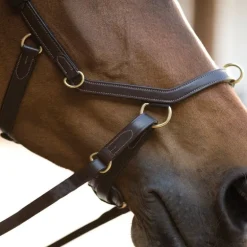 Bridon cuir cheval Rambo Micklem Multi - Horseware