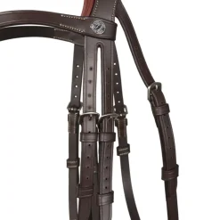 Bridon cuir cheval Trainning Signature - Antarès