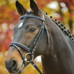 Bridon cuir muserolle combinée Diamond - Waldhausen