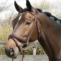 Bridon cuir rond muserolle pull-back - Harry's Horse