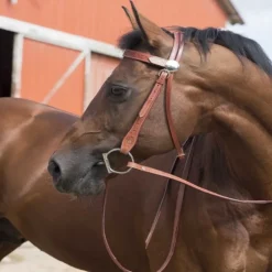 Bridon western Two Tone Westride